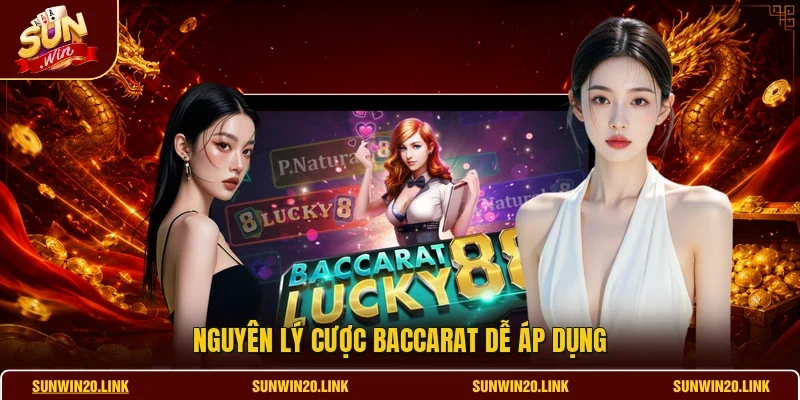 Nguyên lý cược baccarat dễ áp dụng