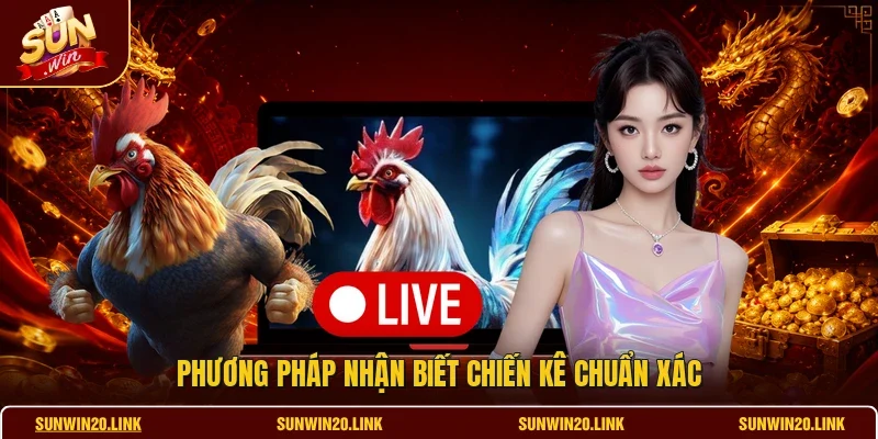 Phương pháp nhận biết chiến kê chuẩn xác