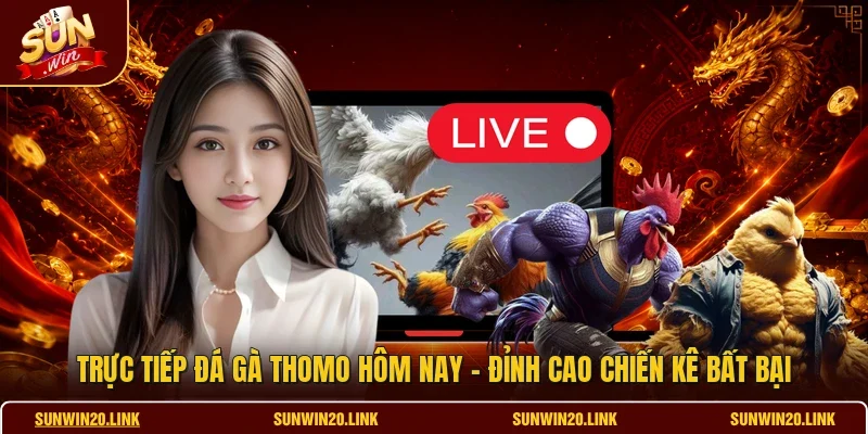 Trực Tiếp Đá Gà Thomo Hôm Nay - Đỉnh Cao Chiến Kê Bất Bại